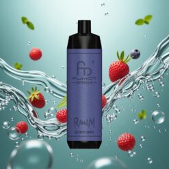 RandM Fumot Shisha 10000 Puffs Eldobható E-cigaretta Bogyós Menta – 18ml Előre Töltött E-lélegzettel